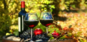 Vino Barbera